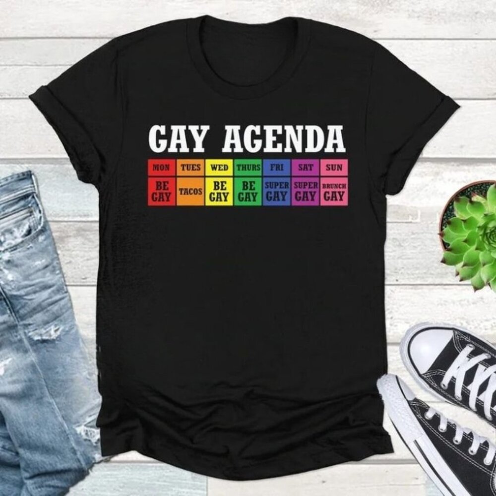 Gay Agenda Shirt Pride Month Gift Shirt Lgbt Shirt